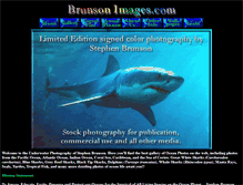 Tablet Screenshot of brunsonimages.com